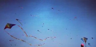 बीकानेर स्थापना दिवस पर नहीं होगी पंतगबाजी : नियमों तोड़ने पर कार्यवाही के आदेश patangbazi