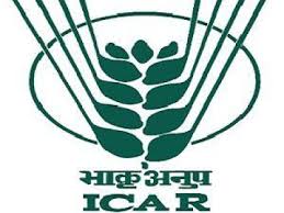 icar logo