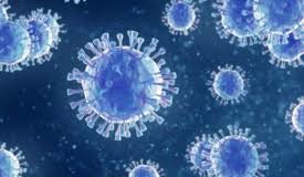 बीकानेर में एक साथ कुल 58 कोरोना पॉजिटिव corona virus