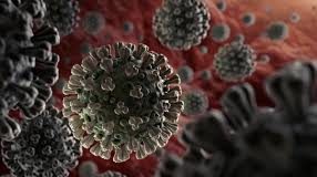 शनिवार को अभी तक कुल 63 कोरोना पाॅजिटिव एवं 1189 मरीज आए नेगेटिव corona virus