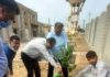 मुख्य अभियंता राकेश लुहाडिया ने किया वृक्षारोपण tree plantation