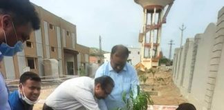 मुख्य अभियंता राकेश लुहाडिया ने किया वृक्षारोपण tree plantation