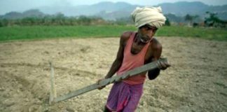 नए किसानों को फसली ऋण से जोड़ने में सहकारी बैंक तत्परता दिखाऎं अवधिपार किसानों को भी फसली ऋण प्रदान किया जाए