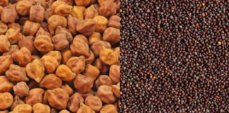 सरसों एवं चने की समर्थन मूल्य पर खरीद के लिए 25 मार्च से होगा ऑनलाइन रजिस्ट्रेशन