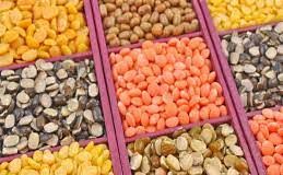 जैसलमेर – दाल के व्यापारी उपलब्ध दालों के स्टॉक व गोदाम की सूचना शुक्रवार को प्रेषित करें, जांच दलों द्वारा किया जाएगा भोतिक सत्यापन, भिन्नता पाए जाने पर होगी कार्यवाही