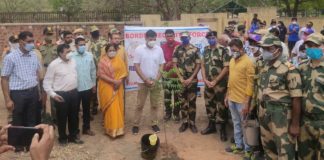 जिला स्टेडियम में सघन पौधरोपण नगर परिषद ने की व्यवस्थाएं