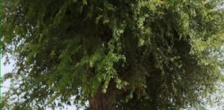 40 से बंद दो किलोमीटर लंबा रास्ता खुलवाया रास्ता खोलो अभियान के तहत किसानों को मिल रही राहत