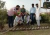 ग्रीन गंगानगर का पौधारोपण अभियान जारी