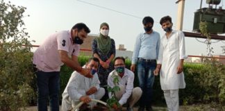 ग्रीन गंगानगर का पौधारोपण अभियान जारी