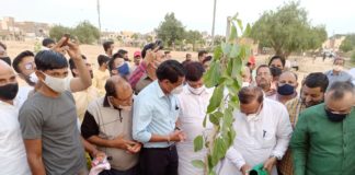 ऊर्जा मंत्री ने महानन्द उद्यान में की वृहद पौधरोपण अभियान की शुरुआत बीकानेर फाउंडेशन और एसकेआरएयू के संयुक्त तत्वावधान में लगाए पीपल और बड़ के 108 पौधे