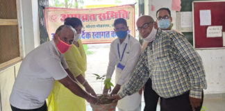 रा.उ.मा.विद्यालय नम्थूसर गेट में औषधीय पौधे लगाकर किया वृक्षारोपण