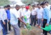 ऊर्जा मंत्री डॉ.कल्ला ने बजरंग धोरा धाम में किया पौधारोपण