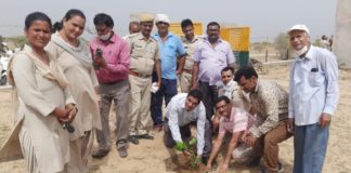 सेना की इंजीनियरिंग रेजीमेंट ने वन महोत्सव आयोजित किया