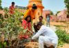 राजकीय उच्च माध्यमिक विद्यालय में किया सघन वृक्षारोपण : श्री दिव्य आयु हेल्थ ट्रस्ट का रहा सहयोग