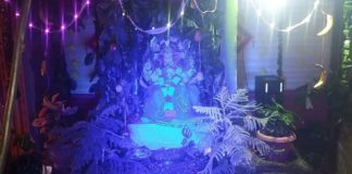 आचार्य चौक स्थित गणेश पाण्डाल में हरियाली महोतसव का हुआ आयोजन : गुरूवार को लगेगा 56 भोग-आमजन को किया दर्शन हेतु आमंत्रित