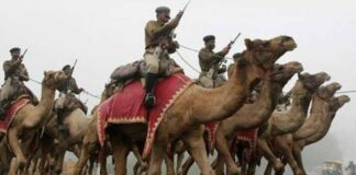 बीएसएफ और ऊंट : सीमा रक्षा चौकसी में ऊंटों का घटता महत्व : पढ़ें युवा लेखक राजेन्द्र आचार्य का यह आलेख