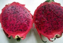 जानिए ड्रैगन फ्रूट के सेवन से किस प्रकार आप रख सकते है अपनी सेहत का ख्याल, पढ़े यह आलेख