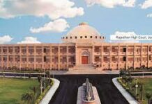 राजस्थान हाईकोर्ट का बड़ा फैसला : आवारा पशुओं की वजह से मौत होने पर मुआवजा देना आवश्यक