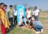 केंद्रीय कारागृह में विशाल पौधरोपण कार्यक्रम : रोटरी मरुधरा व HDFC बैंक का संजीवनी प्रकल्प में हुआ वृहद स्तर पर पौधरोपण