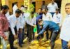 जिला कलेक्टर ने किया पौधारोपण, पटवार संघ ने भेंट किया आभार पत्र