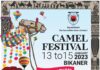 बीकानेर कार्निवाल के साथ शुक्रवार को होगी अंतराष्ट्रीय ऊंट उत्सव की शुरूआत
