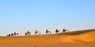 Rajasthan: an Alluring Destination for Border Tourism