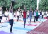 नौवां अंतराष्ट्रीय योग दिवस : हजारों योग साधकों ने सामूहिक योगाभ्यास कर दिया ‘वसुधैव कुटुंबकम’ का संदेश : कलेक्ट्रेट परिसर में आयोजित मुख्य समारोह