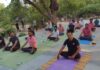 उन्नीसवें स्थापना दिवस पर योगमय हुआ भ्रमणपथ