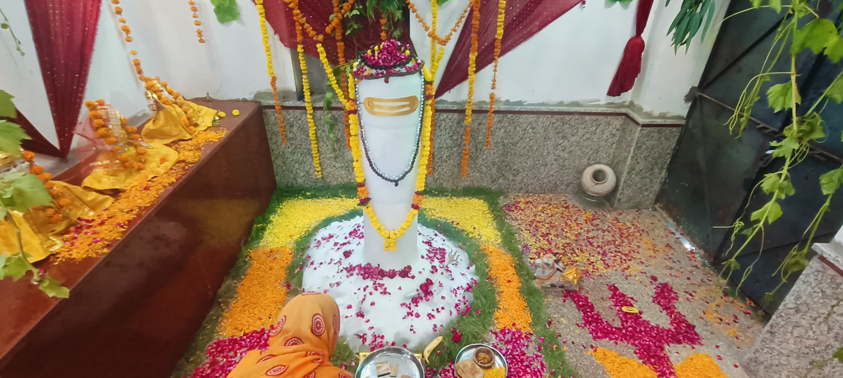 पंच मंदिर सेवा समिति की ओर भगवान शंकर का हुआ विशेष श्रृंगार एवं पूजन